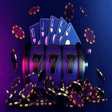 toto155 Steady Spin Sessions